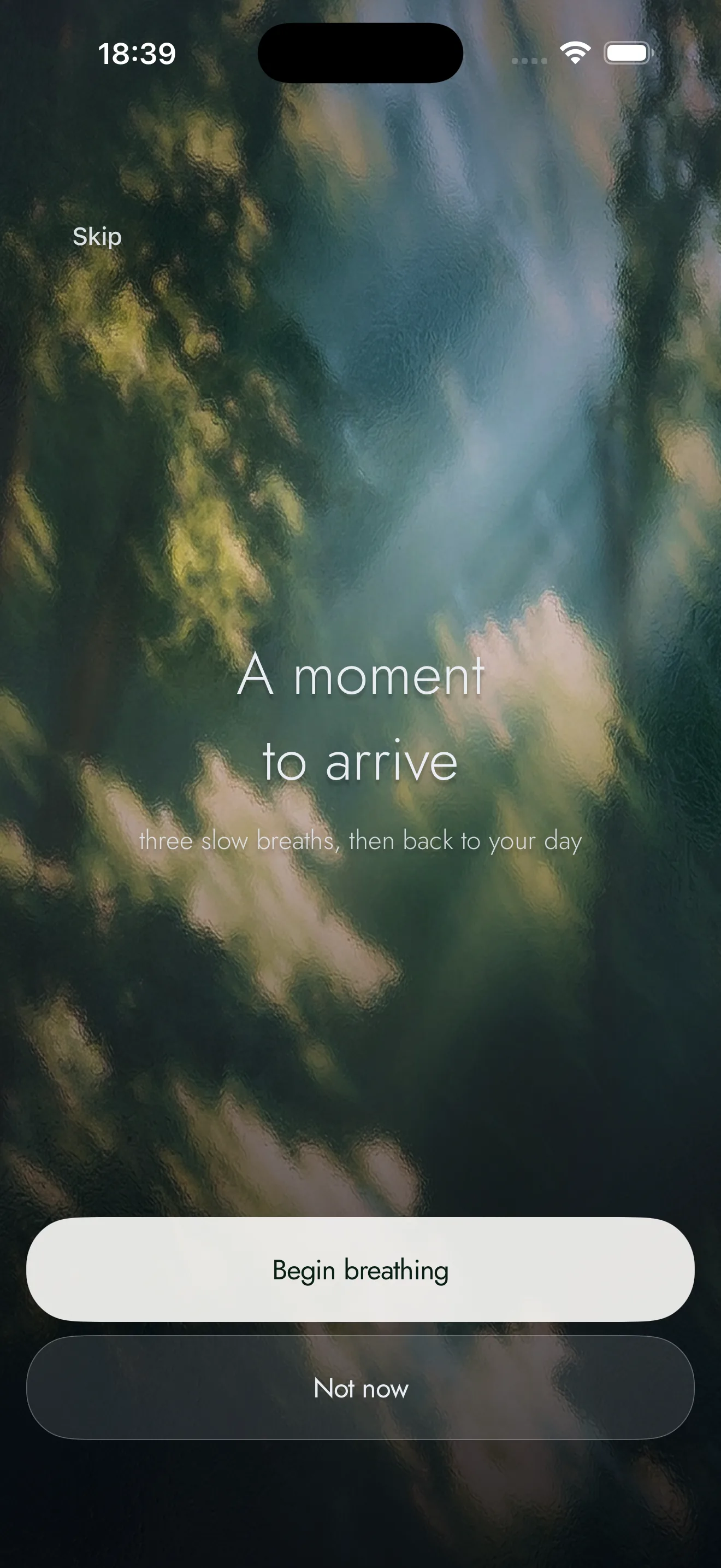 Hesya recovery screen inviting a moment to arrive
