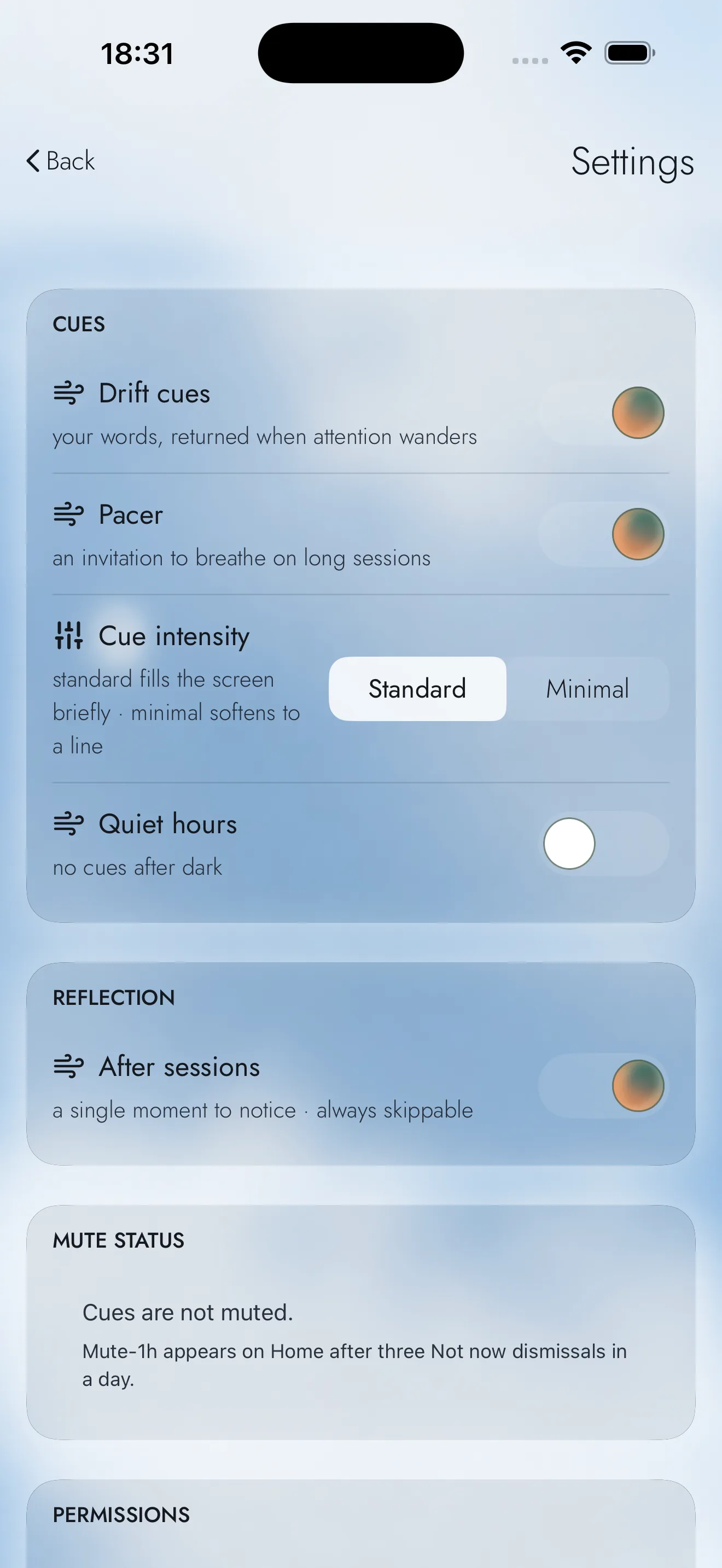 Hesya settings screen with cue and reflection controls