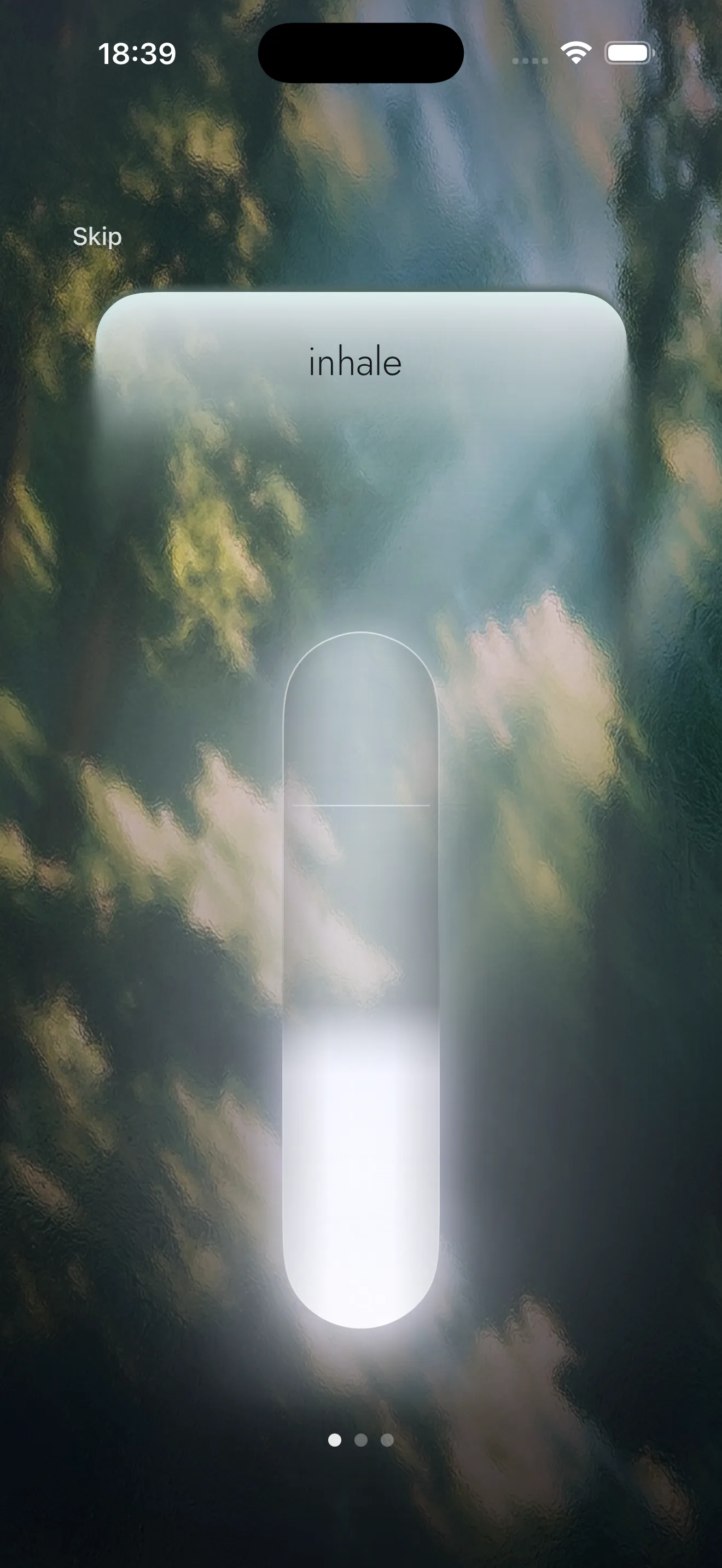 Hesya breathing animation on the inhale