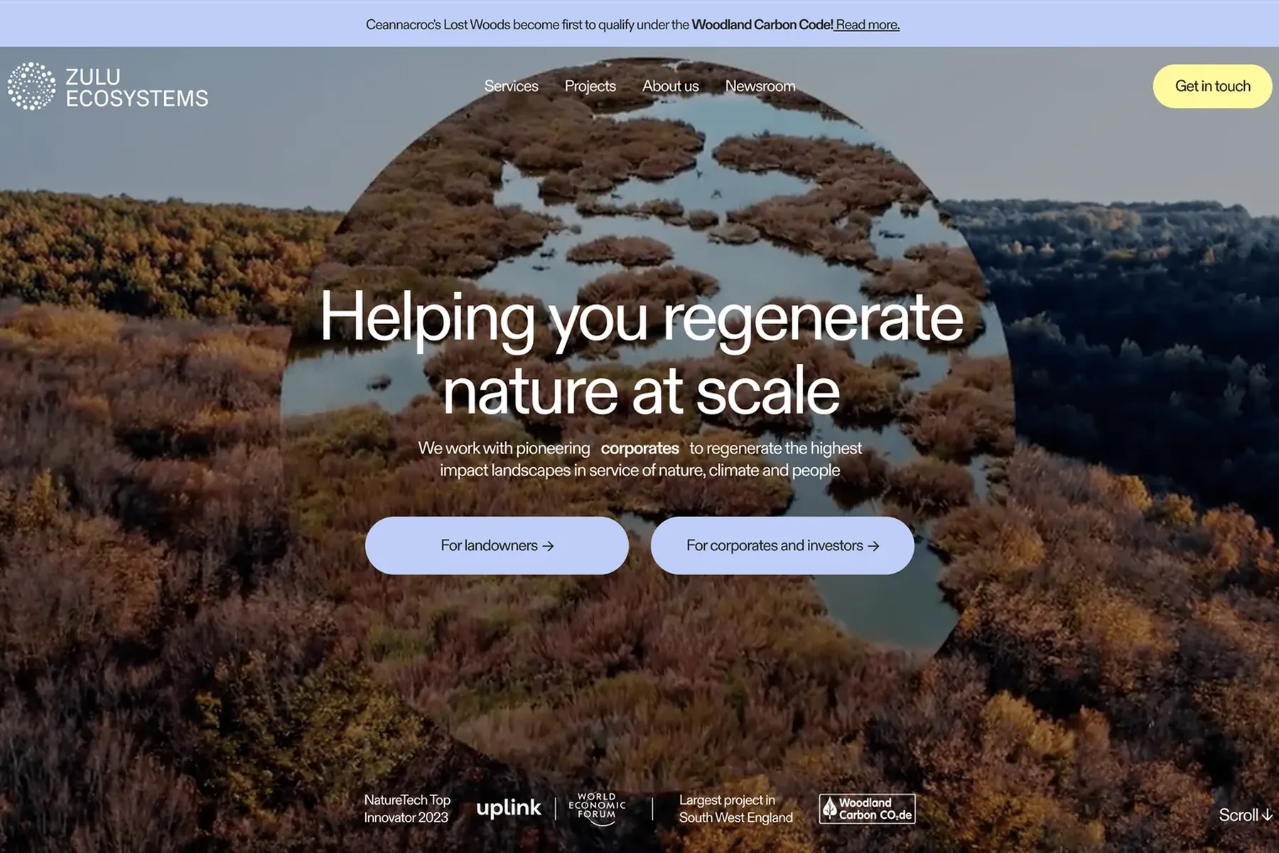 20+ Web Solutions Portfolio