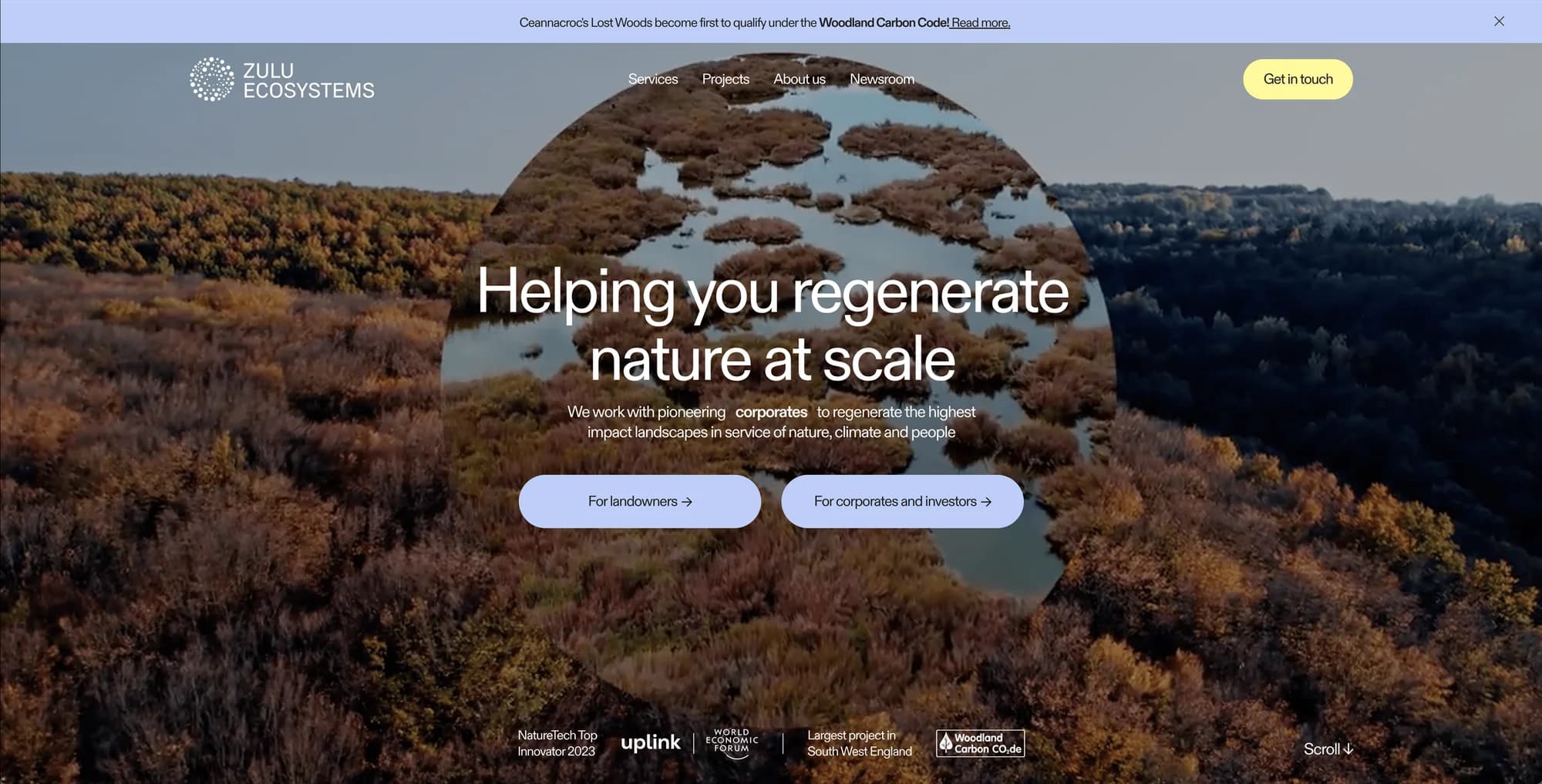Web Solutions Portfolio example 3